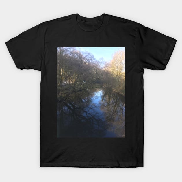 River Tame, England T-Shirt by archiesgirl